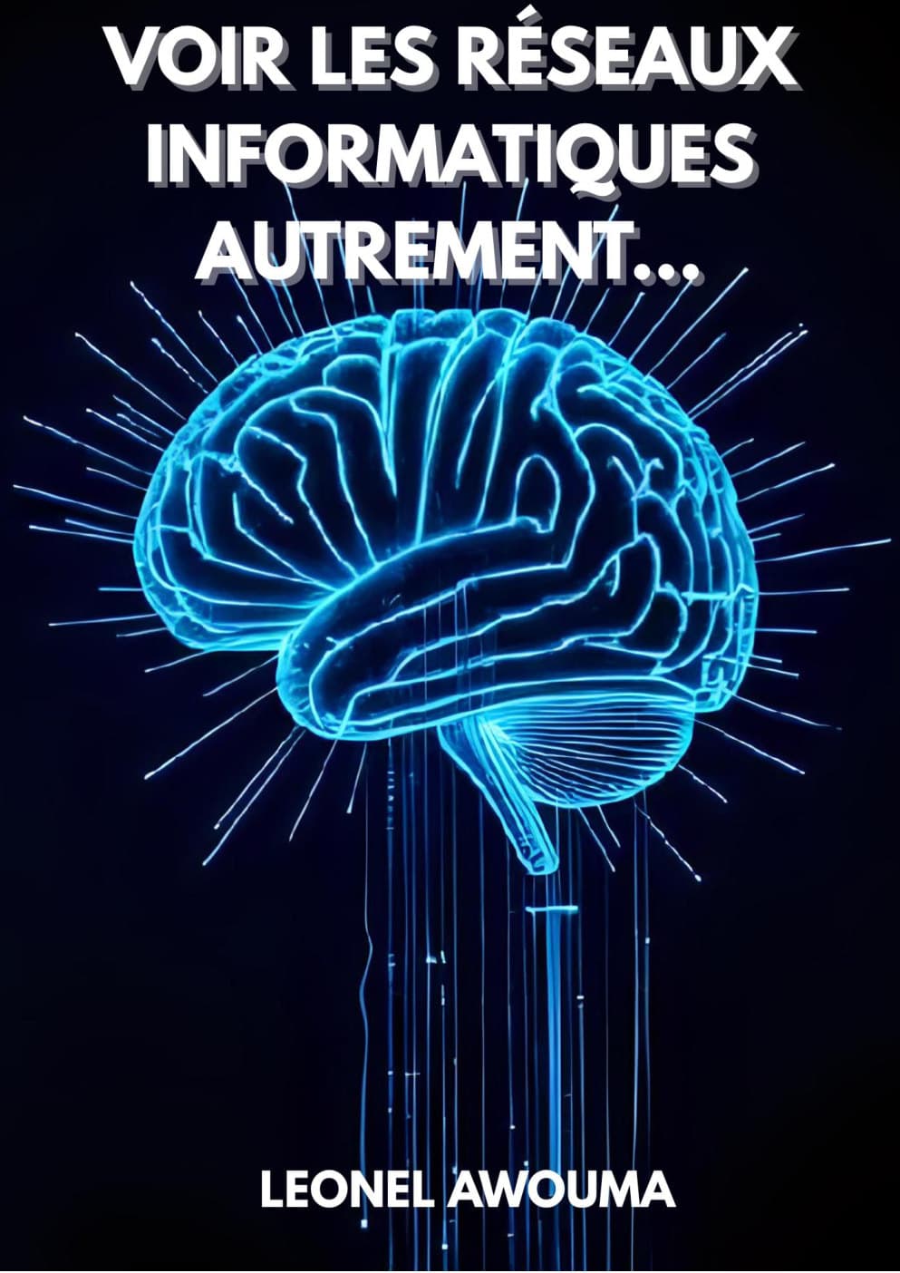 Voir les réseaux informatiques autrement… (French)